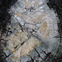 20130413014305-nomas111