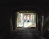 20130429060358-homothetic