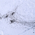 20130413032048-06__41213