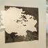 20130414101400-232x156