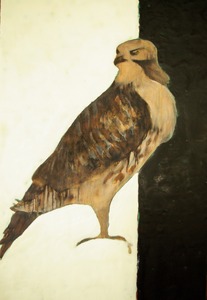 20130414141308-edited_hawk
