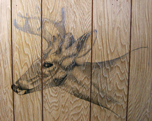 Deer,Liz Young