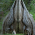 20130414215131-heinz_tom_thenesttribe4841