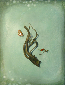 20130414220501-susan_mcdonnell_gulffritillary_large