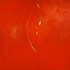 20130414221145-greg_ragland_2_hummingbirds_in_red_with_silver_large