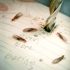 Pitsker_more_boring