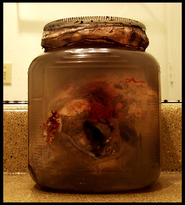 20130415155637-venus_of_blood_front_one