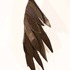 20130415215807-wing_2629_js