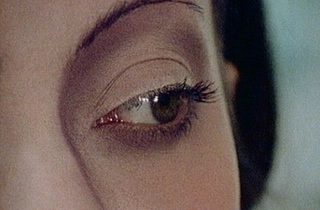 Bilder der Welt un Inschrift des Krieges,Harun Farocki