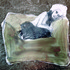 20130416123719-davis_front_final_2
