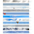 20130416234259-shared_skies_print_bnew2_300dpi