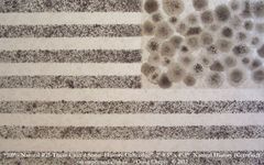 20130418134550-100percent_natural_number21-theseunitedstates-historyunheeded