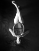 20130418163502-mido_lee_web