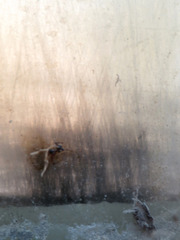 20130418173805-petra_senn_other_land_iv_img_9861