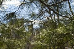 20130523075329-the_secret_life_of_cities