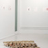 20130419191030-_resized_for_webimg_7319_3