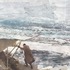 20130419214446-rfarrcollage_0002