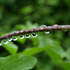 20130420003638-little_worlds