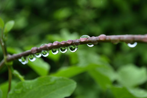 20130420003638-little_worlds