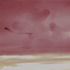 20130420022122-lg_les_oiseauxvideo03_2008_mw