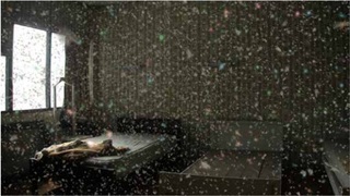   still from Morakot (Emerald) ,Apichatpong Weerasethakul