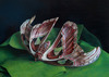 20130420160233-nocturn_website