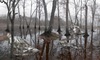 20130423175722-invisible_45x75