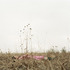20130425074214-ks09