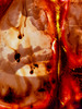 20130425104304-best_before_end_2_c_stephen_gill_courtesy_of_the_artist