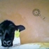 20130425165012-cow_head_mixed_media_on_paper_22x30_2012