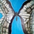 20130425165328-butterfly_mixed_media_on_paper_14x17_2013