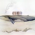 20130426202105-bryde_s-whale-