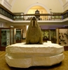 20130427002502-naturalhistorygallery_01-1000px