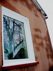 20130427213203-babcha_photos_1