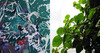 20130428015117-01__42713
