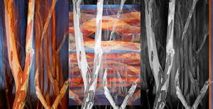 20130428215932-painted-trees