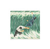 20130429001804-rafter_bosman-150x150