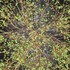 20130429002254-js-the-vanquished-03-01-hr-200x200