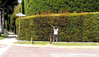 20130429120651-gomez1