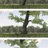 20130502114412-1_movi_2013_digital_animation__continuous