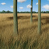 20130502115611-veld_5_0