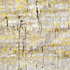 20130504183934-drfa_mbreuer_c-1323-crop_web_725kb