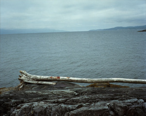 Blood Bank,Melanie Schiff