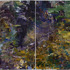 20130506005451-01_dorothy_robinson