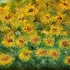 20130515172708-abstract_-_flowers