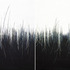20130506163559-kolo_transititionv