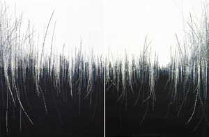 20130506163559-kolo_transititionv