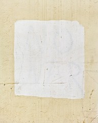 No war,Mark Woods