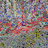 20130507051128-baghdasari-big_bang