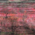 20130507161406-bg